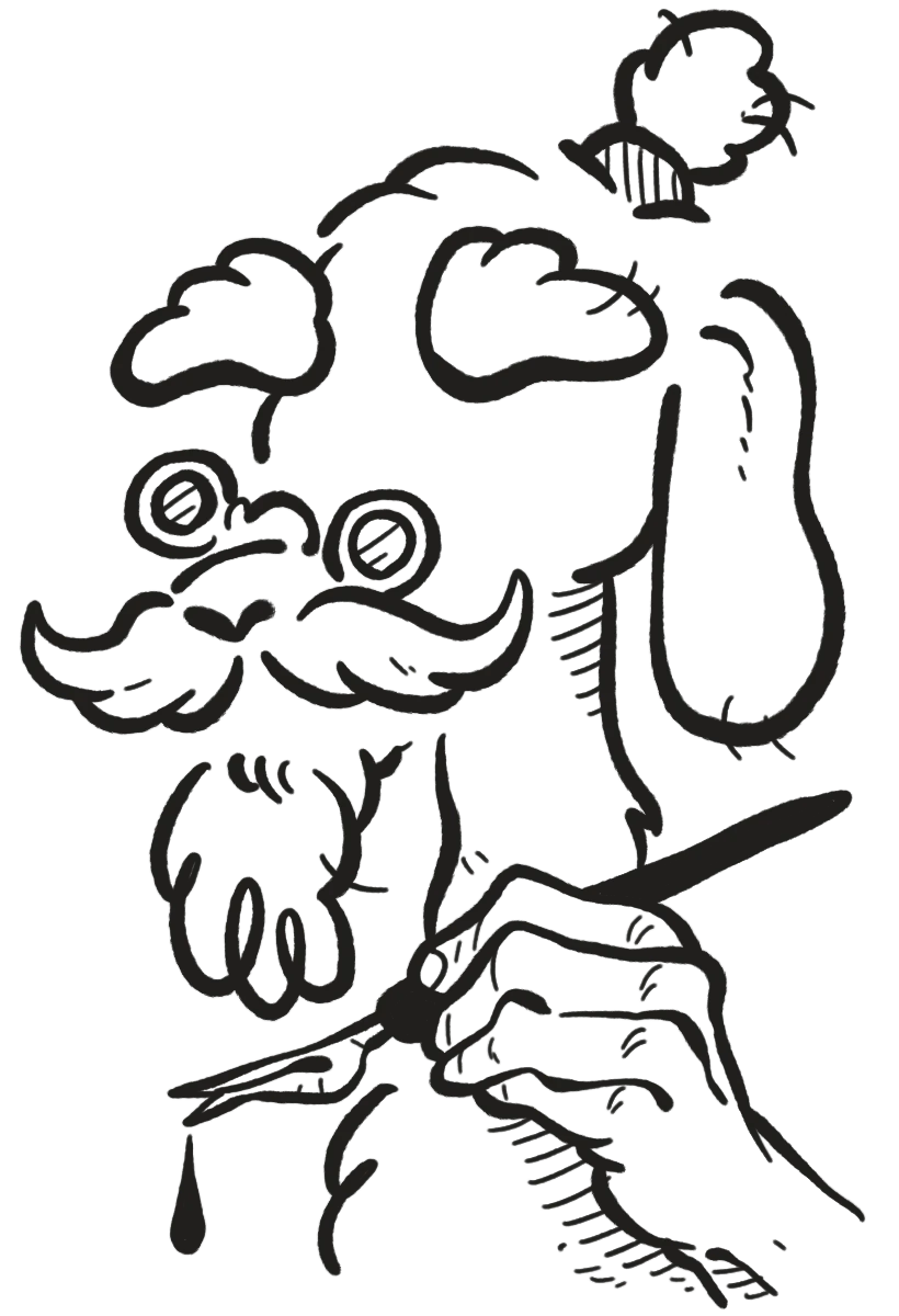 Illustration